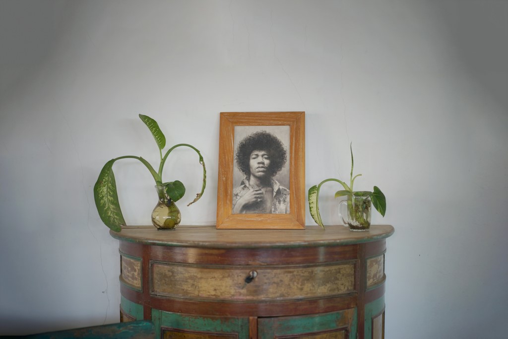 Une commode en bois exposant une photo de J. Hendrix avec deux plantes.